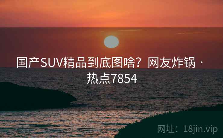 国产SUV精品到底图啥？网友炸锅 · 热点7854