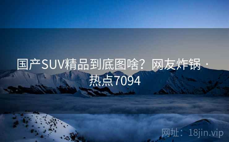 国产SUV精品到底图啥？网友炸锅 · 热点7094